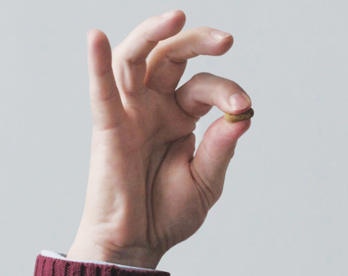 Kaytee Blog Post Is Your Pet Bird Picky?