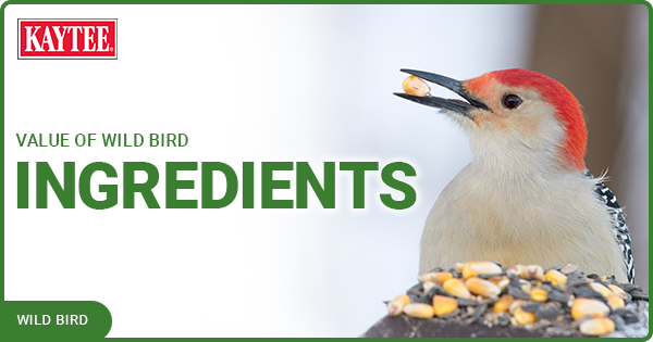 Kaytee value of Wild Bird Ingredients Food blog Post