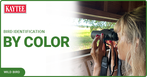 Kaytee Wild Bird Blog Bird Identification by Color 