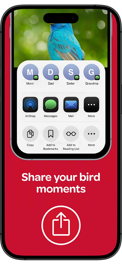 APP UI 20 1