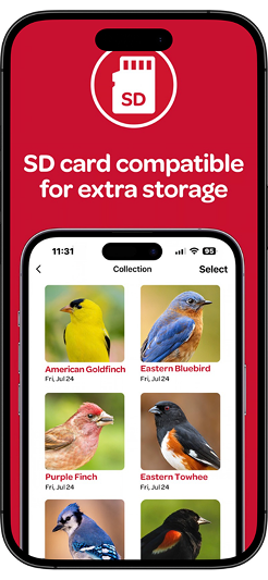 APP UI 20 3