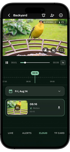 APP UI 20 4