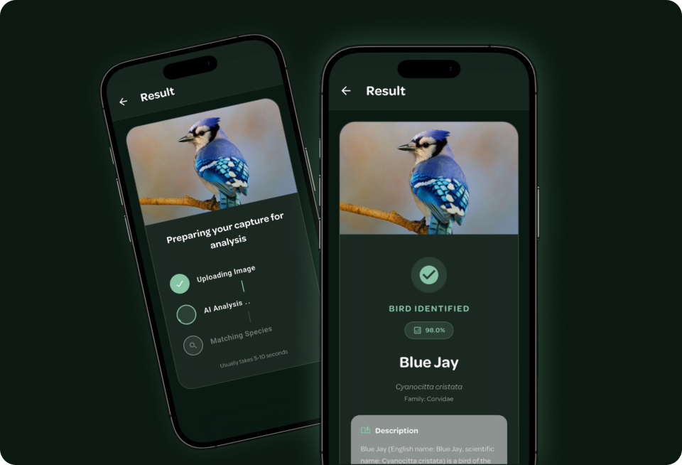 Identify Birds with AI-Powered Software