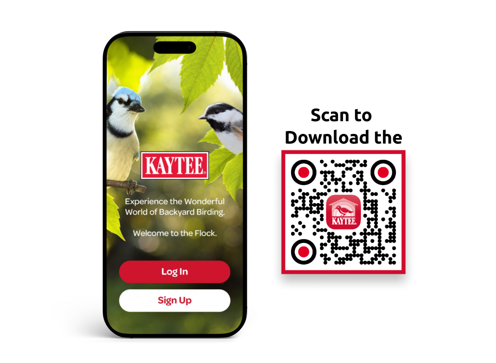 Kaytee App Callout