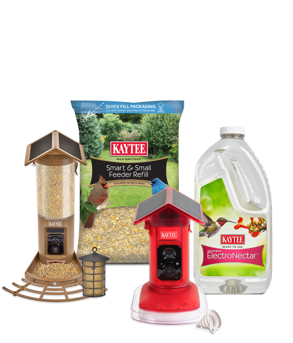 Smart Bird Feeder Seed   Suet KitFamily shot